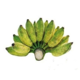  Chuối Sứ ( Chuối Xiêm) 1.5-2kg/nải