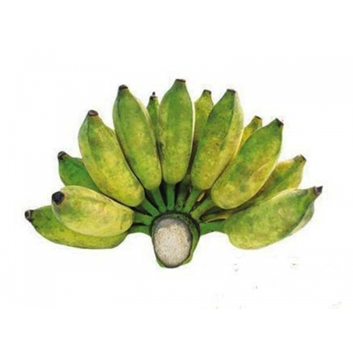 Chuối Sứ ( Chuối Xiêm) 1.5-2kg/nải