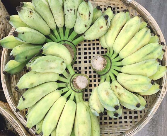  Chuối Sứ ( Chuối Xiêm) 1.5-2kg/nải