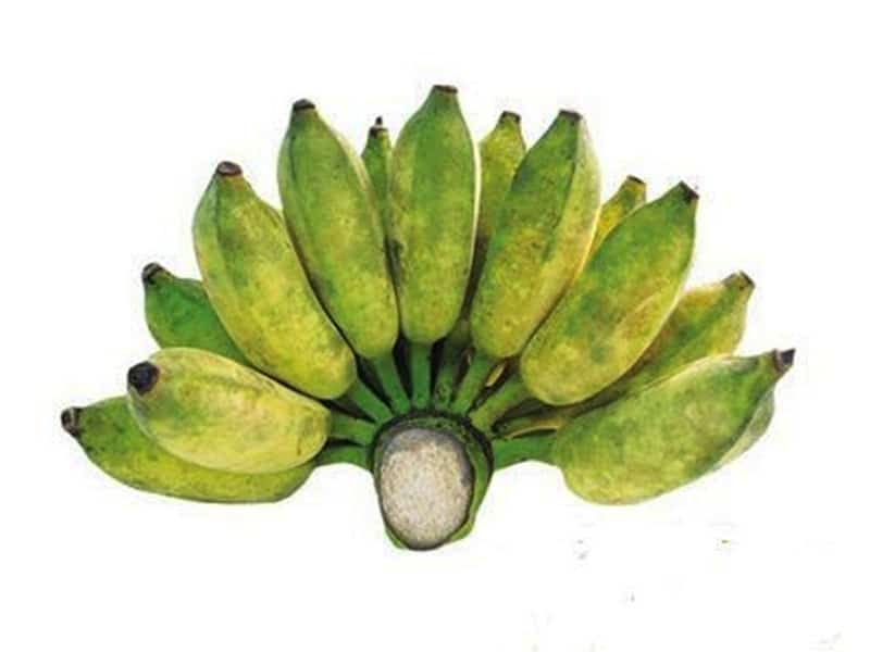  Chuối Sứ ( Chuối Xiêm) 1.5-2kg/nải